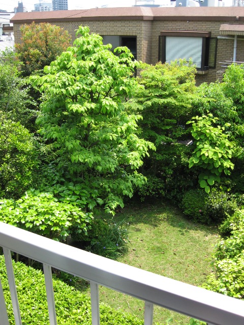 d0127680_1141166.jpg