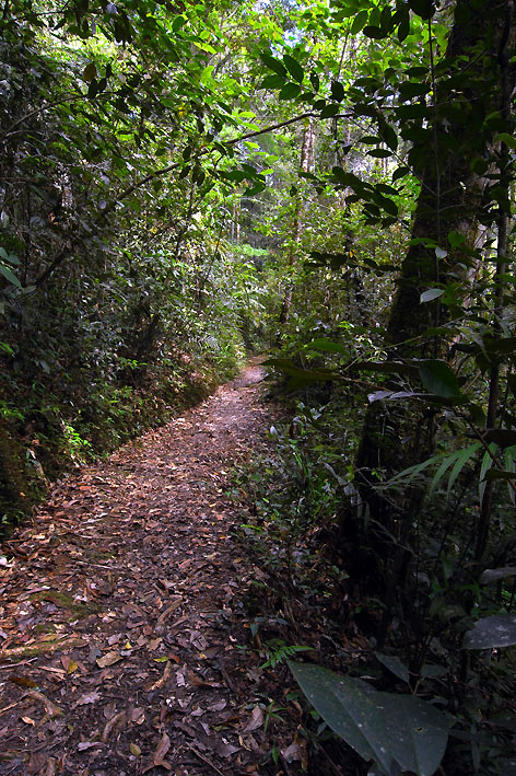 f0090680_0181254.jpg