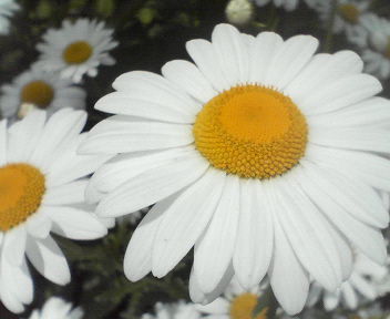 d0056881_210387.jpg