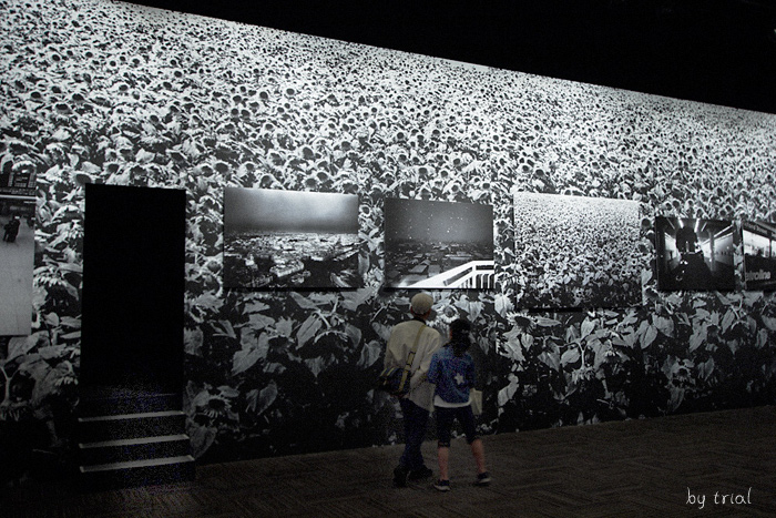 c0059485_22124730.jpg