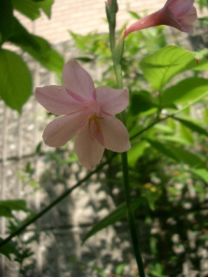 c0132387_22571691.jpg