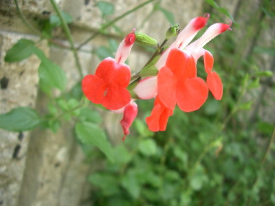 c0132387_22584096.jpg