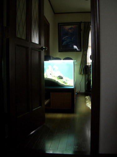 a0049090_9262087.jpg