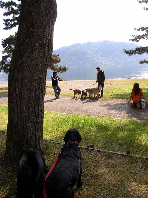 a0093592_23125924.jpg