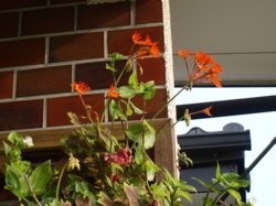 f0130894_16591287.jpg