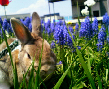 c0090899_20255923.jpg