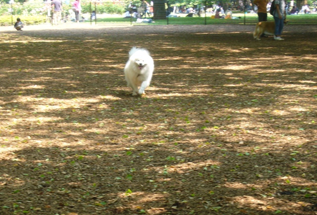 e0018604_13223456.jpg