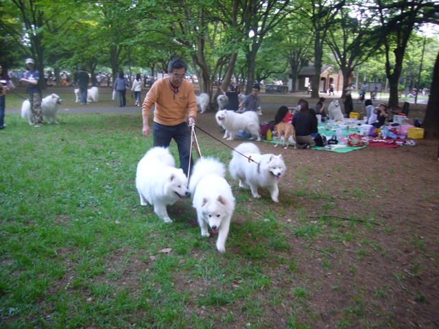 e0018604_14123622.jpg