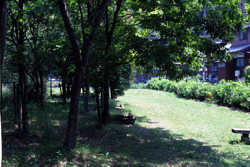 e0129805_712261.jpg