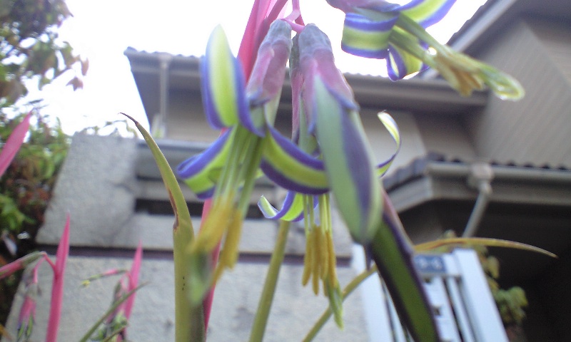 d0000607_0101039.jpg