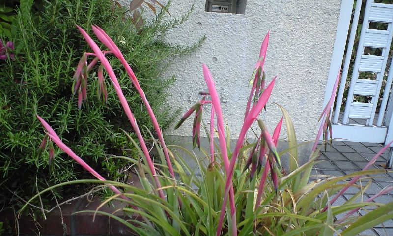d0000607_010917.jpg