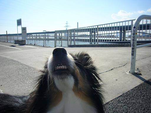 e0130008_20514549.jpg