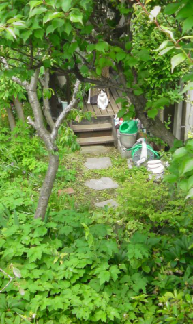 b0044209_13403018.jpg
