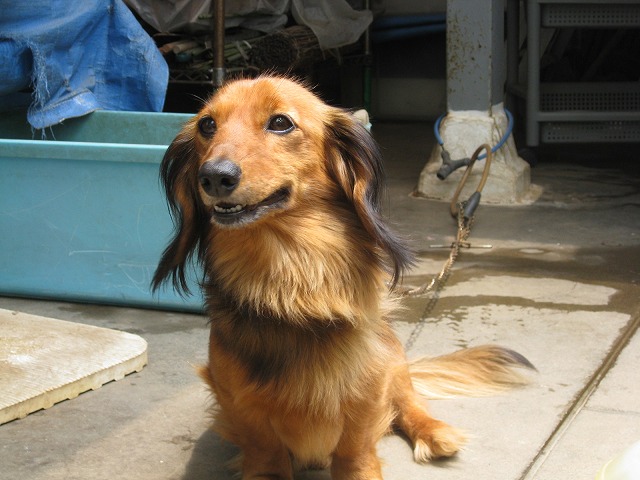 e0075412_22464695.jpg