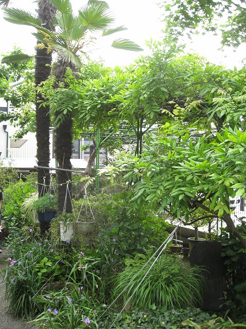 e0075412_22511478.jpg