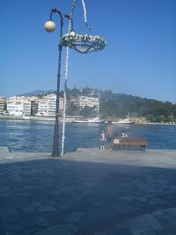 d0042214_23433471.jpg