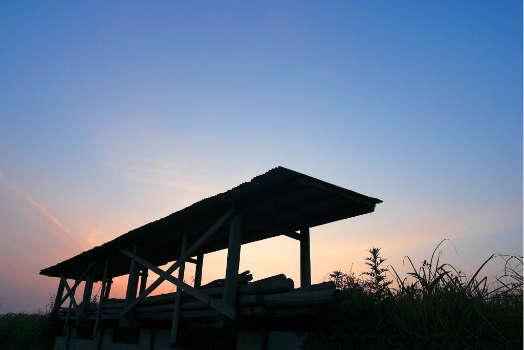 d0085715_062399.jpg