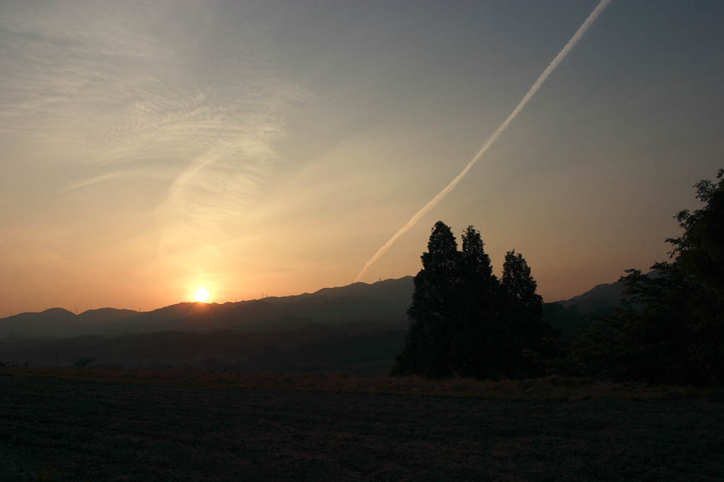 d0085715_063342.jpg