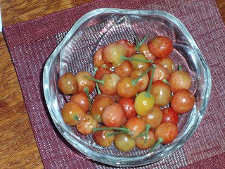 f0092416_1944973.jpg