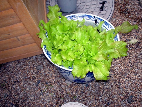 c0007822_9395038.jpg