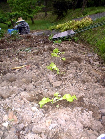 c0007822_942228.jpg