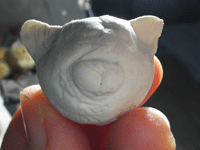 d0002224_222162.gif