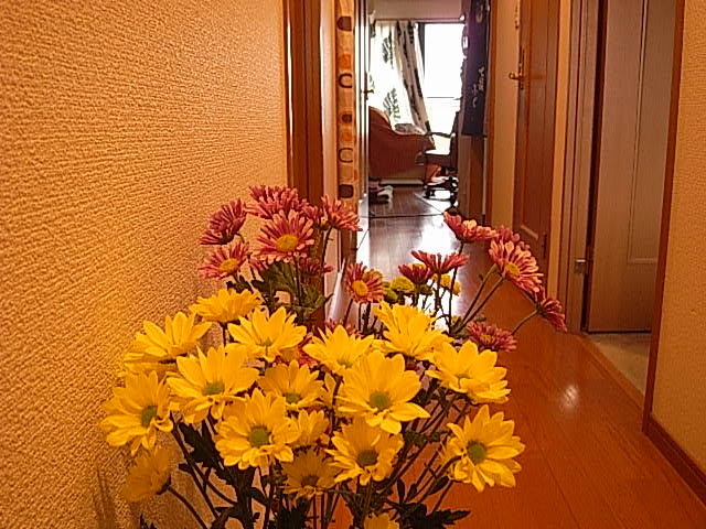 f0057324_14175661.jpg