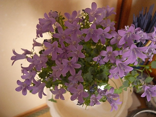 f0057324_14184134.jpg