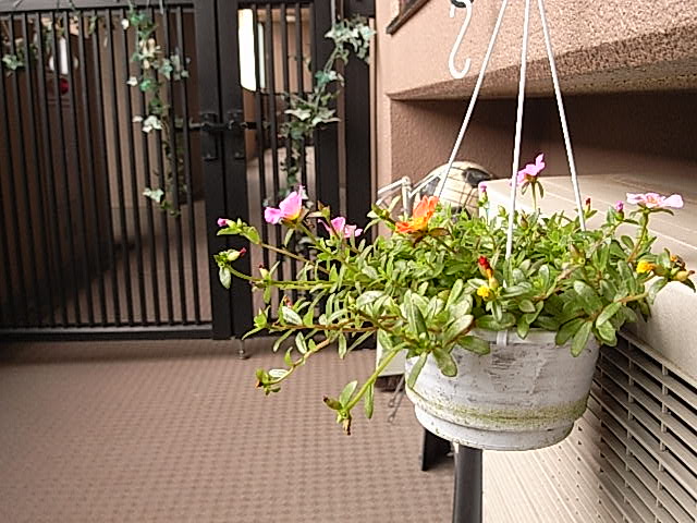 f0057324_1421313.jpg