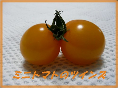 c0009528_22462712.jpg