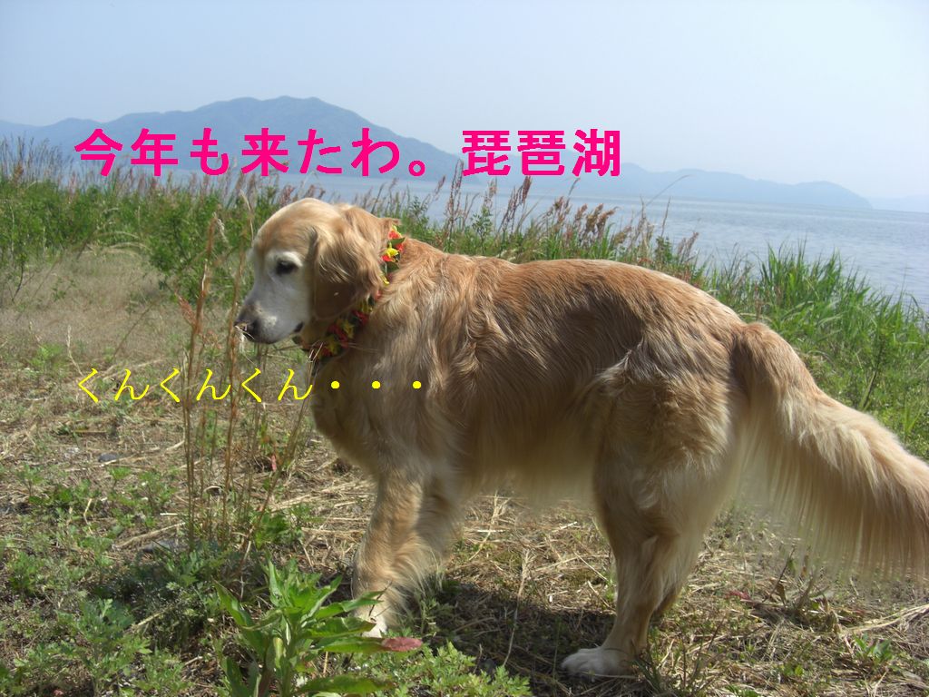 e0142430_01728.jpg