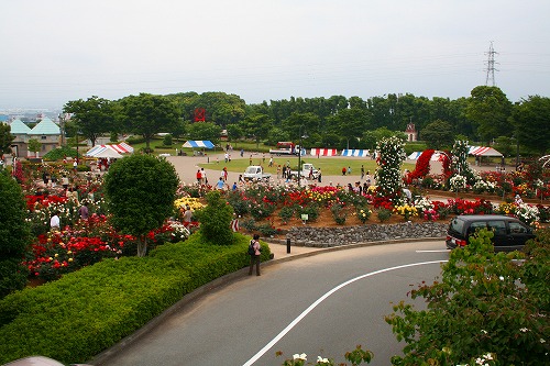 c0151731_244643.jpg