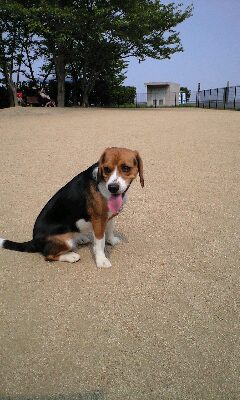 e0137731_0213181.jpg