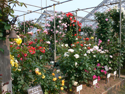 f0061334_21362998.jpg