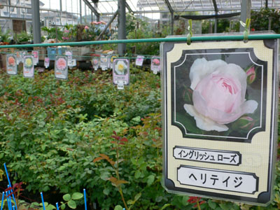 f0061334_21365978.jpg