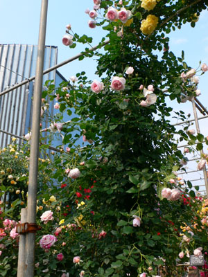 f0061334_2146511.jpg