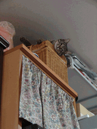 c0136736_17194710.gif