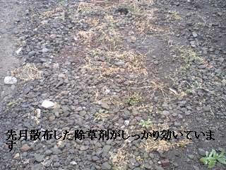 f0031037_1748135.jpg