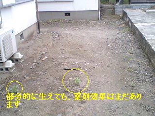 f0031037_17485833.jpg