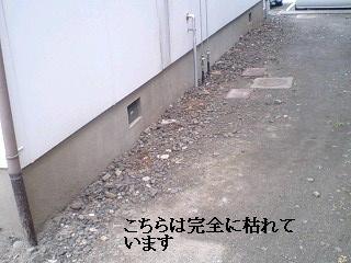 f0031037_17492110.jpg