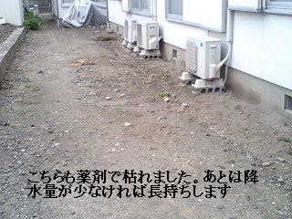 f0031037_17493987.jpg
