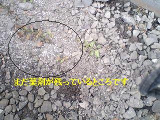 f0031037_17495693.jpg