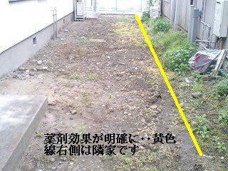 f0031037_17501445.jpg