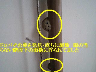 f0031037_17503386.jpg