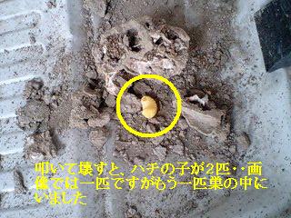 f0031037_17504823.jpg