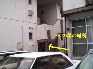 f0031037_17512969.jpg