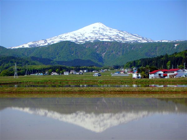 c0081645_21482598.jpg