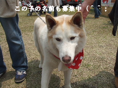 e0121548_1327199.jpg