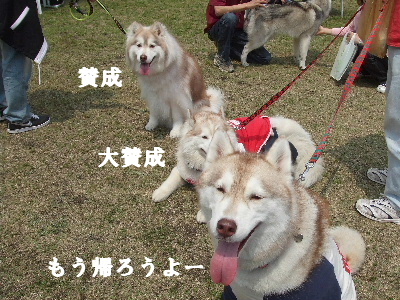 e0121548_13305850.jpg