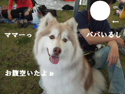 e0121548_13374935.jpg